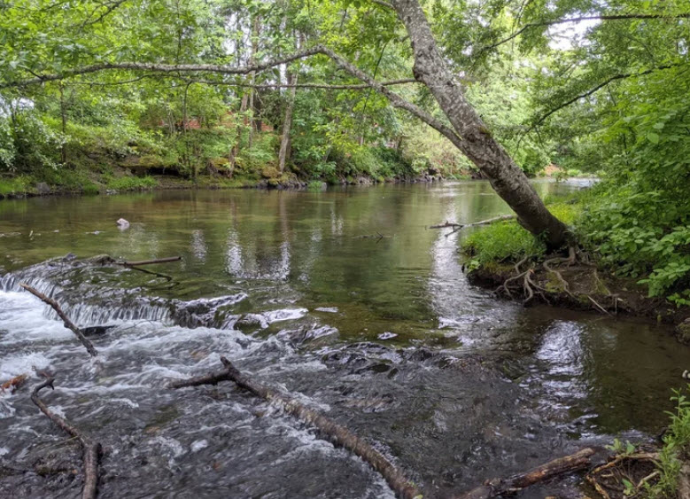 Delbert Hunter Arboretum and Botanical Garden, United States